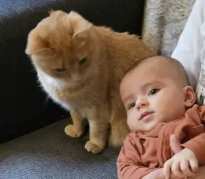 Leentje 08 Short Encounter